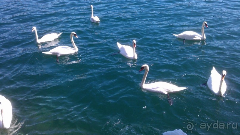 Два в одном флаконе. Экскурсионный тур  Италия-Швейцария