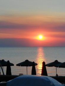 фото Alexander the Great