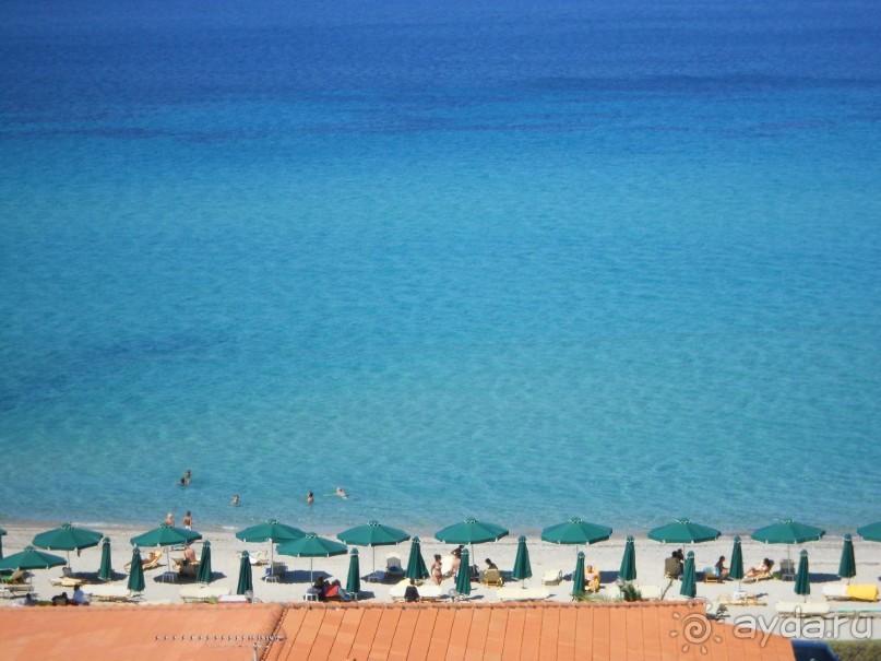 фото Alexander the Great