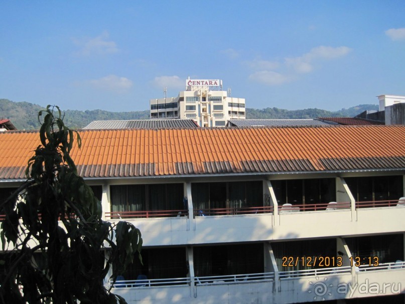 Sugar Marina Art –  артишок в сахаре!