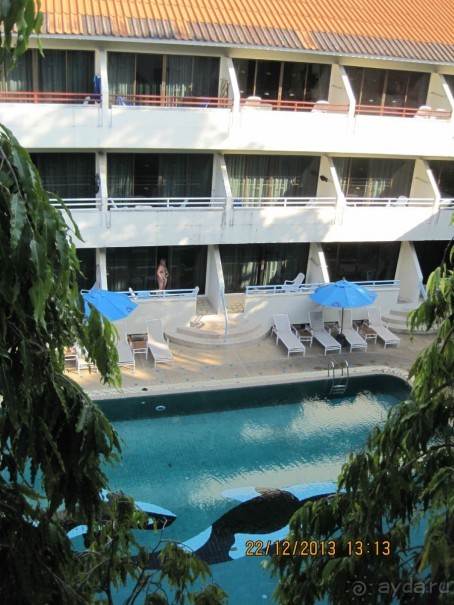 Sugar Marina Art –  артишок в сахаре!