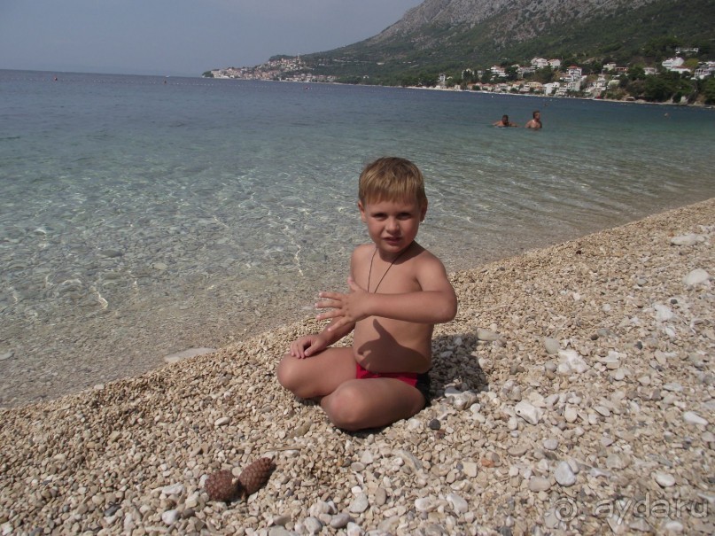 фото Nimfa Zivogosce