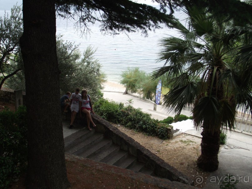 фото Nimfa Zivogosce