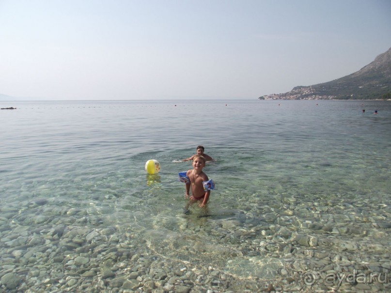 фото Nimfa Zivogosce