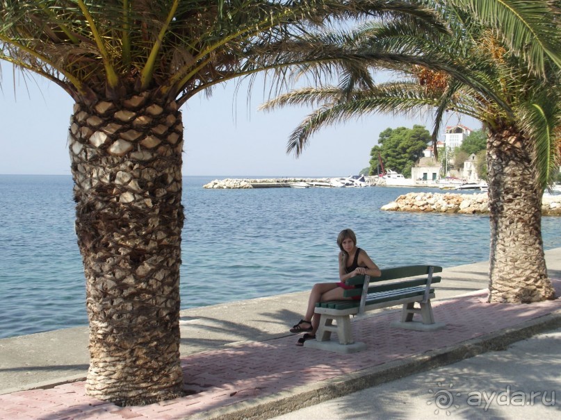 фото Nimfa Zivogosce