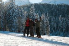 ...............................