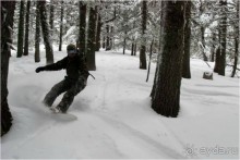 Катание по лесу ……..я