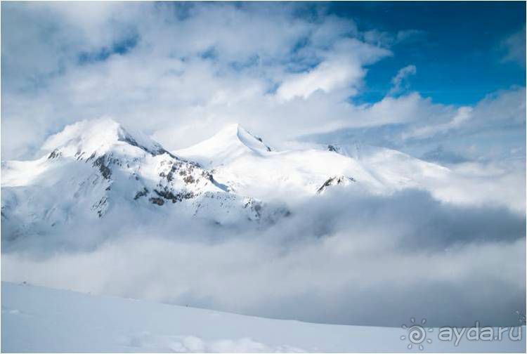 ......................