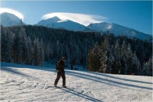 ...................................