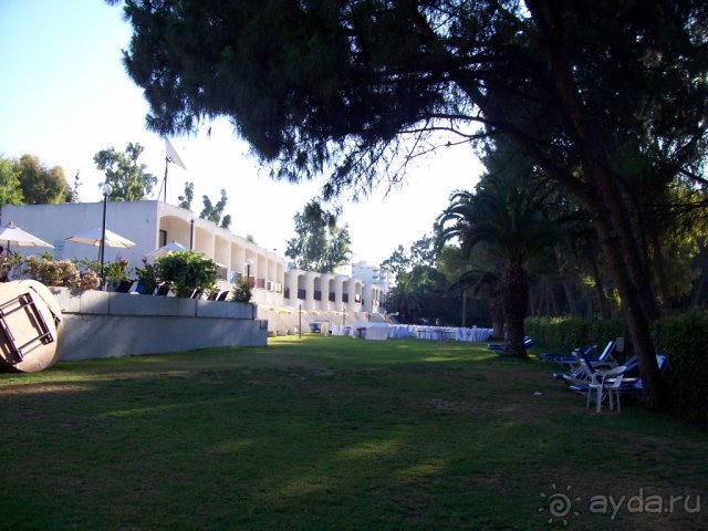 Лужайка слева