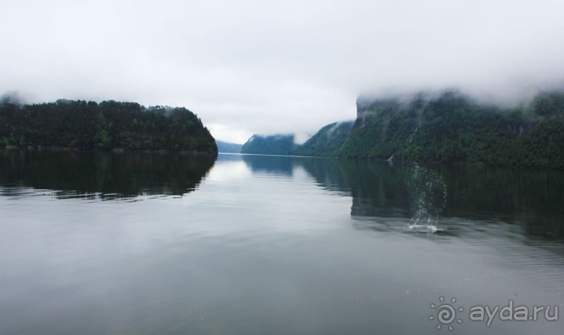 Поездка к фьордам - индивидуальный тур в Норвегию
