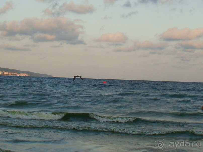 фото Grand Victoria