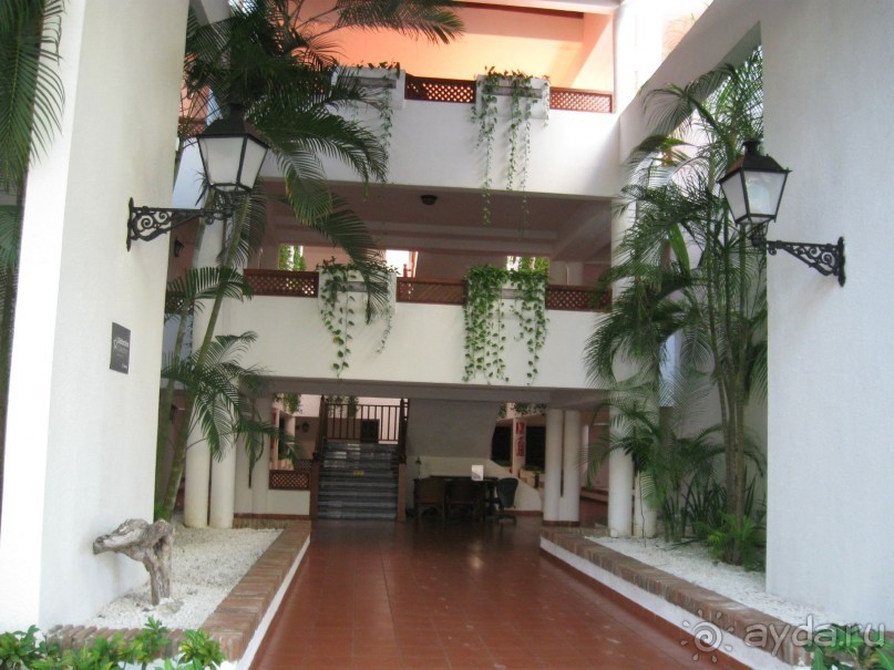 Сладкая как мед Доминикана