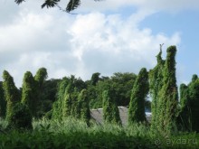 фото Occidental Punta Cana