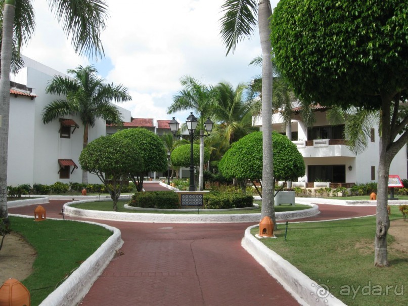 Сладкая как мед Доминикана