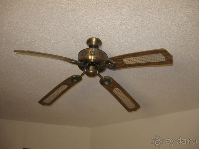 Сладкая как мед Доминикана