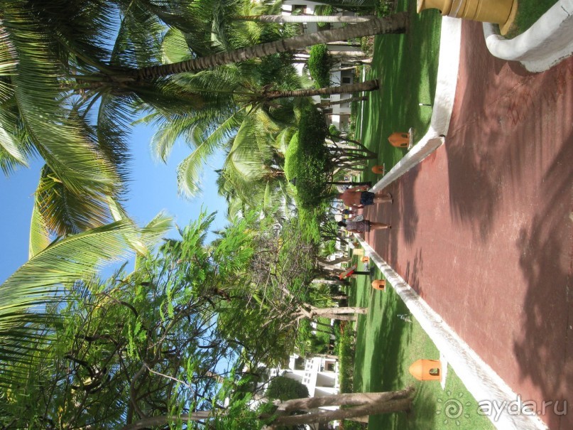 Сладкая как мед Доминикана