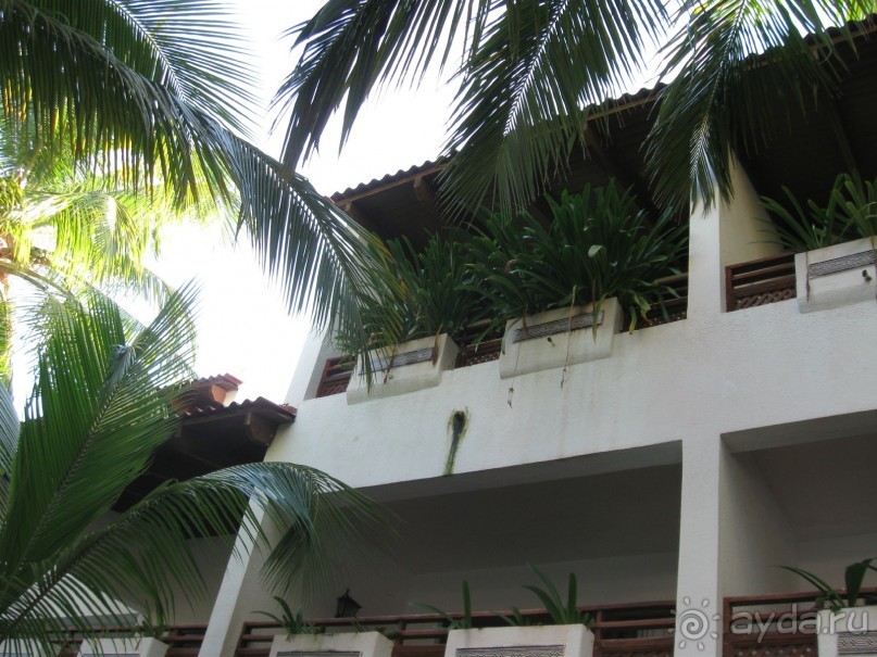 Сладкая как мед Доминикана