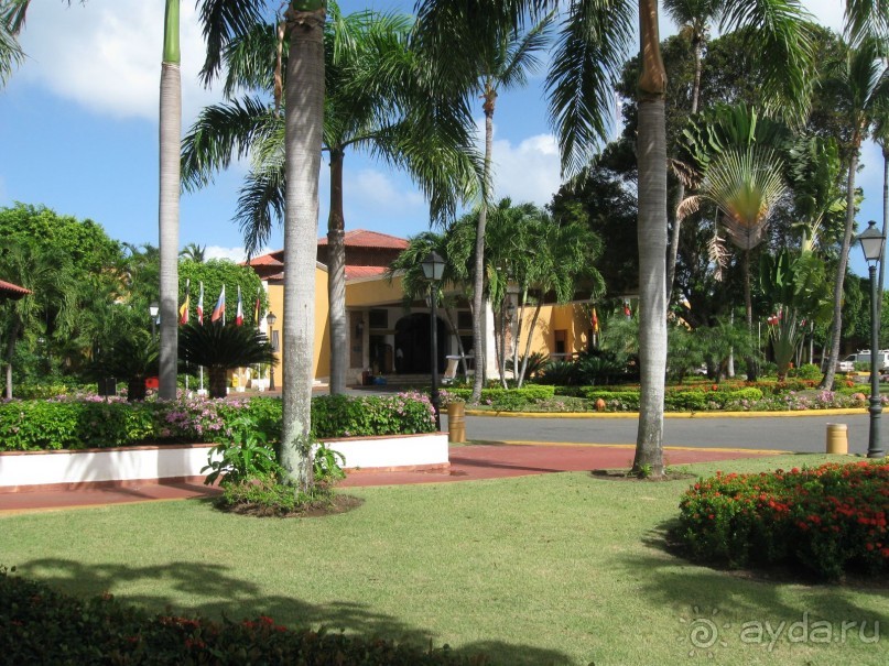 Сладкая как мед Доминикана