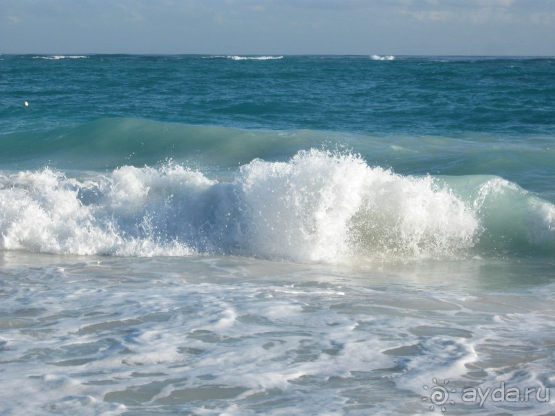 Сладкая как мед Доминикана