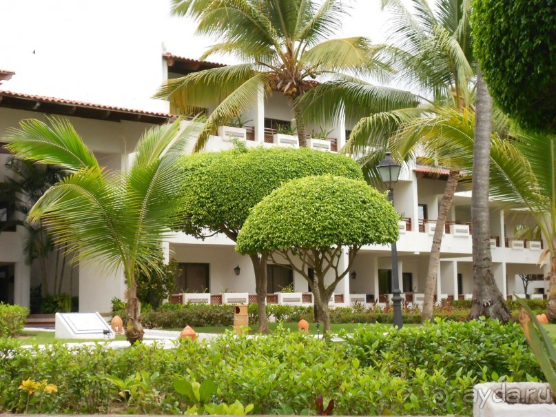 Сладкая как мед Доминикана