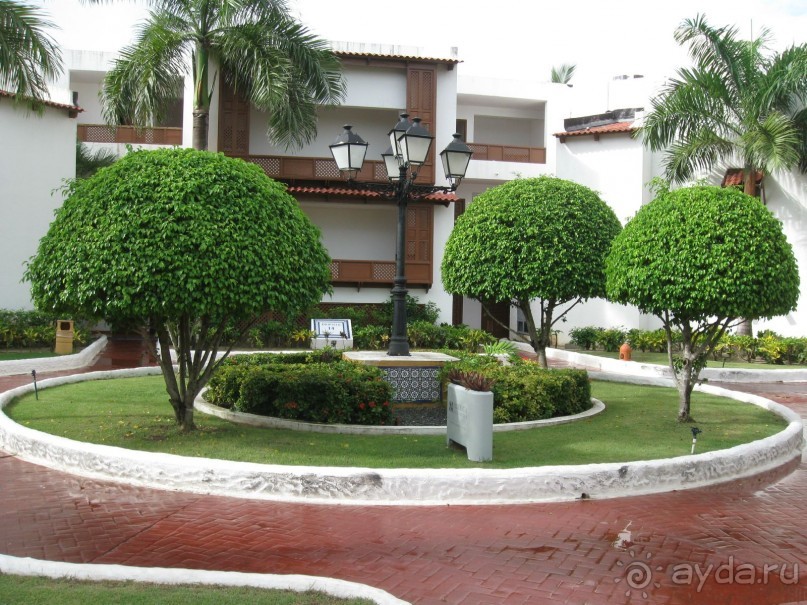 Сладкая как мед Доминикана