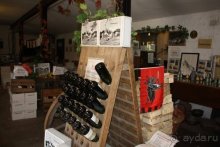 Прогулки по Германии