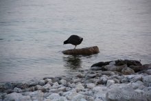 Альбом отзыва "Прогулки по Германии"