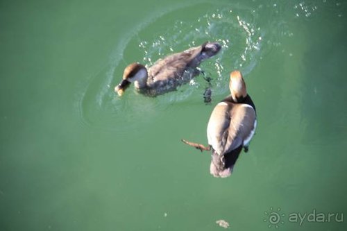 Прогулки по Германии