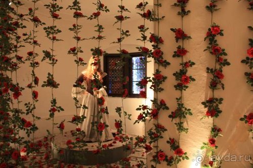 Прогулки по Германии