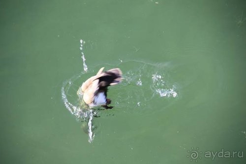 Прогулки по Германии