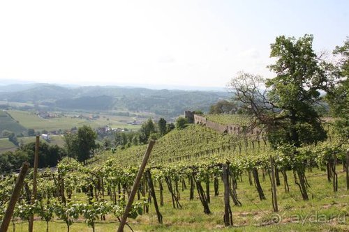 Прогулки по Германии