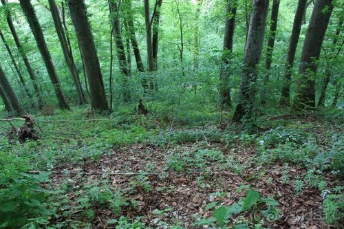 Прогулки по Германии