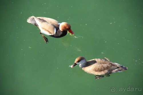 Прогулки по Германии