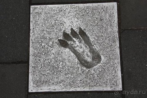 Прогулки по Германии