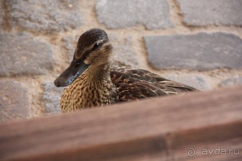 Прогулки по Германии