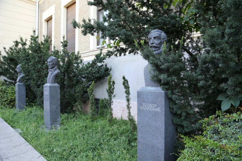 фото Design Hotel Mr.President