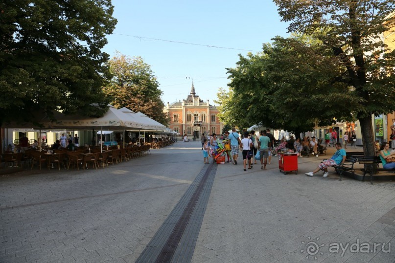 фото Design Hotel Mr.President