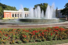 фото Arcadia Plaza
