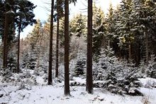 Рождественские ярмарки Европы — 2