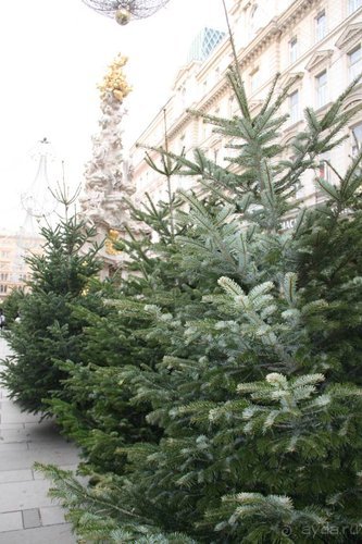 Рождественские ярмарки Европы — 2