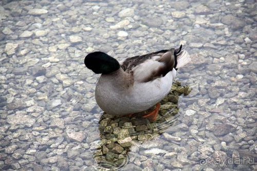 Рождественские ярмарки Европы — 2