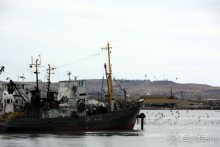 Альбом рассказа "Вдоль Черного моря с заходом в День Дурака."