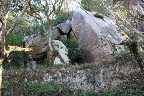 Путь на Португалию