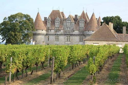 Путь на Португалию