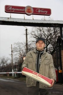 Вышел в степь Донецкую...