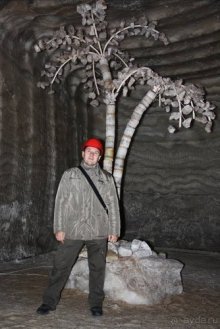 Вышел в степь Донецкую...