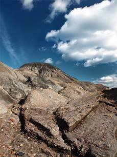 Вышел в степь Донецкую...
