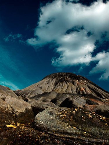 Вышел в степь Донецкую...