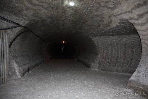 Вышел в степь Донецкую...